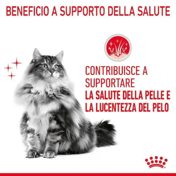 Royal Canin Hair & Skin in Salsa   bauzaarit.myshopify.com