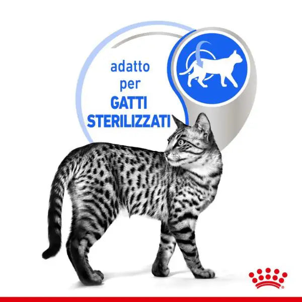 Royal Canin Indoor Sterilised 85 gr   bauzaarit.myshopify.com