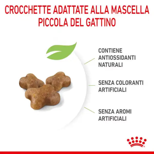 Royal Canin Kitten   bauzaarit.myshopify.com