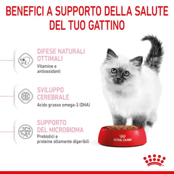 Royal Canin Kitten   bauzaarit.myshopify.com