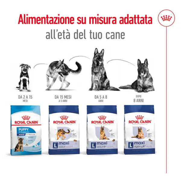 Royal Canin Maxi Dog Adult   bauzaarit.myshopify.com
