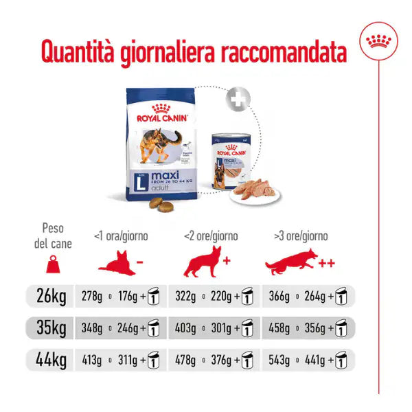 Royal Canin Maxi Dog Adult   bauzaarit.myshopify.com