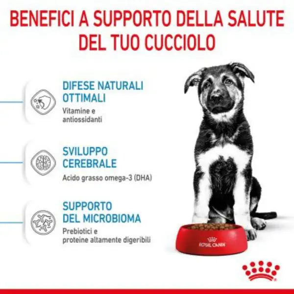 Royal Canin Maxi Puppy   bauzaarit.myshopify.com