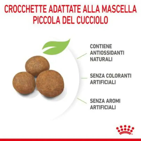 Royal Canin Maxi Puppy   bauzaarit.myshopify.com