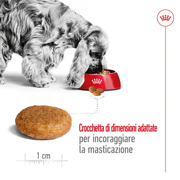 Royal Canin Medium Adult   bauzaarit.myshopify.com