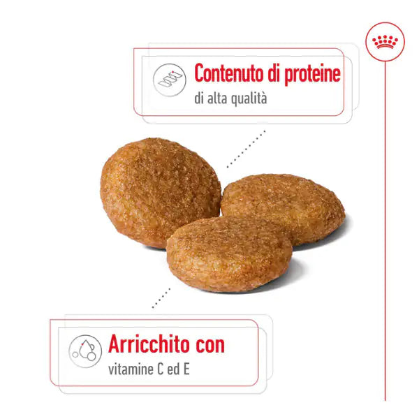 Royal Canin Medium Adult   bauzaarit.myshopify.com