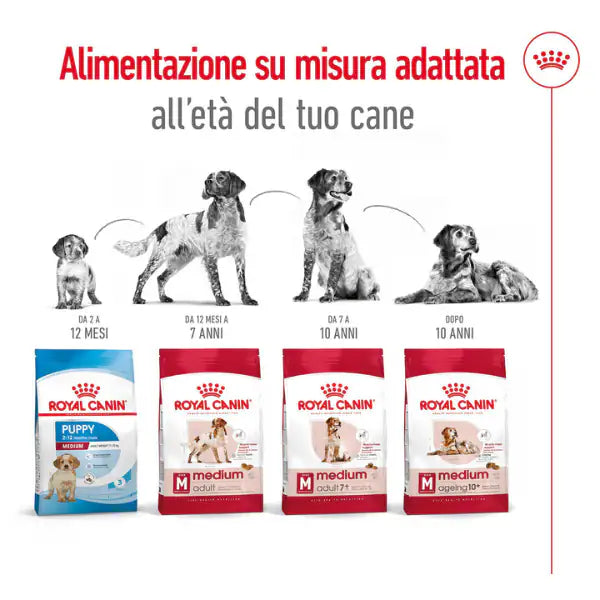 Royal Canin Medium Adult   bauzaarit.myshopify.com
