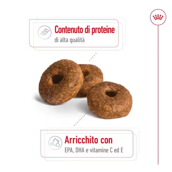 Royal Canin Medium Ageing 10+   bauzaarit.myshopify.com