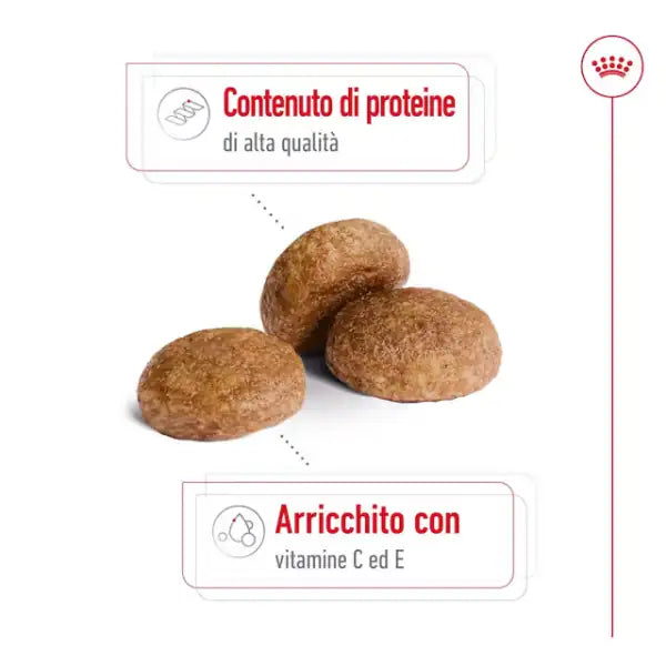Royal Canin Medium Ageing 7+   bauzaarit.myshopify.com