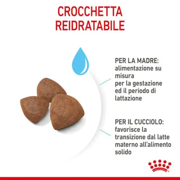 Royal Canin Medium Starter - Mother & Babydog   bauzaarit.myshopify.com