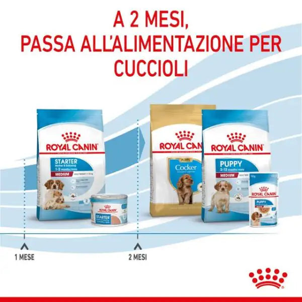 Royal Canin Medium Starter - Mother & Babydog   bauzaarit.myshopify.com