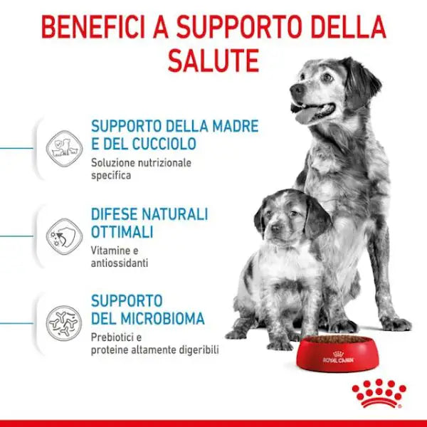 Royal Canin Medium Starter - Mother & Babydog   bauzaarit.myshopify.com