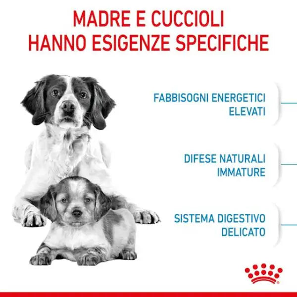 Royal Canin Medium Starter - Mother & Babydog   bauzaarit.myshopify.com