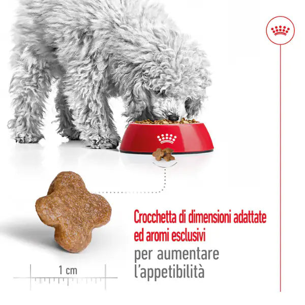 Royal Canin Mini Adult 8+   bauzaarit.myshopify.com