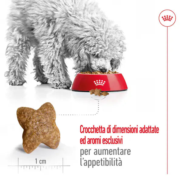 Royal Canin Mini Adult   bauzaarit.myshopify.com