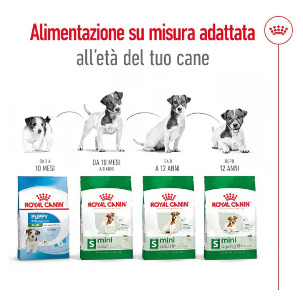 Royal Canin Mini Adult   bauzaarit.myshopify.com