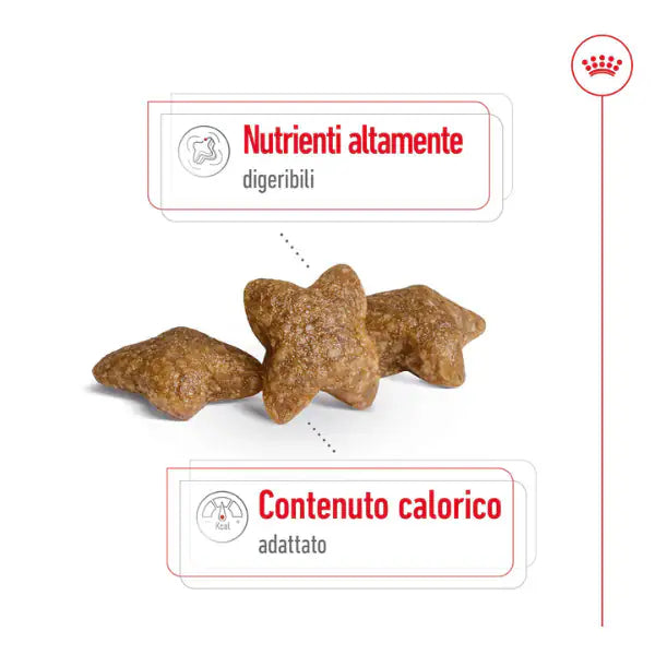 Royal Canin Mini Adult   bauzaarit.myshopify.com