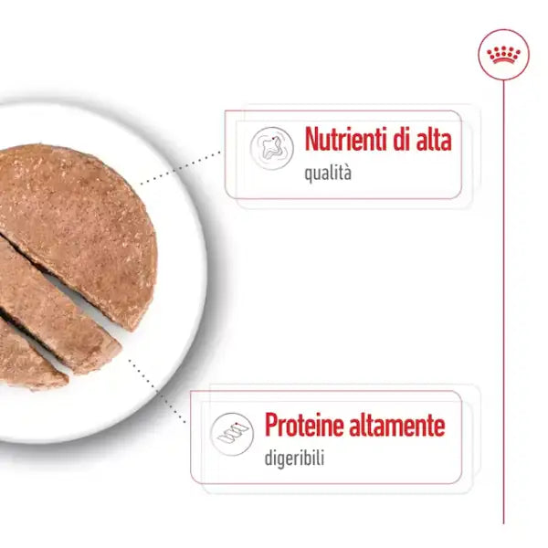 Royal Canin Patè per Cani Adult 410 gr   bauzaarit.myshopify.com