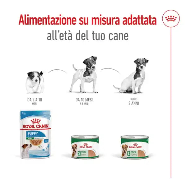 Royal Canin Patè per Cani Mini Adult 195 gr   bauzaarit.myshopify.com