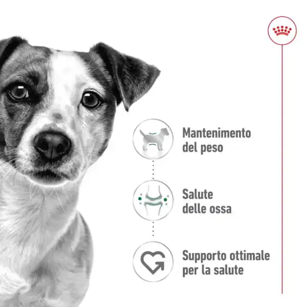 Royal Canin Patè per Cani Mini Adult 195 gr   bauzaarit.myshopify.com