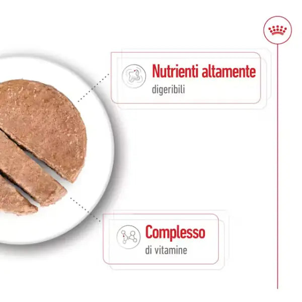 Royal Canin Patè per Cani Mini Adult 195 gr   bauzaarit.myshopify.com