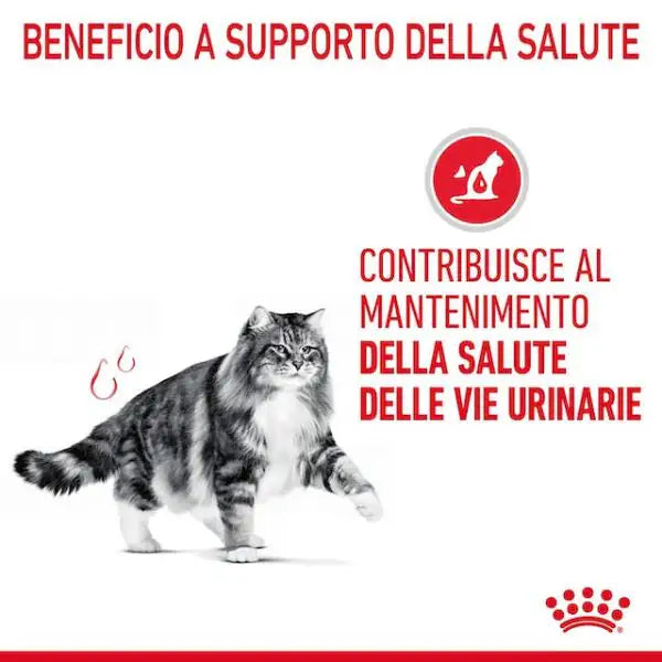 Royal Canin Urinary Care   bauzaarit.myshopify.com