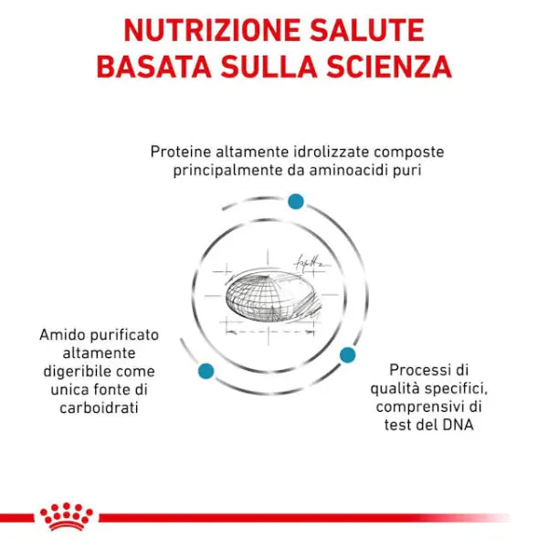 Royal Canin Veterinary Diet Anallergenic   bauzaarit.myshopify.com