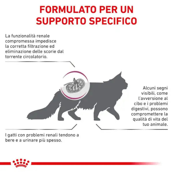 Royal Canin Veterinary Diet Cat Renal   bauzaarit.myshopify.com