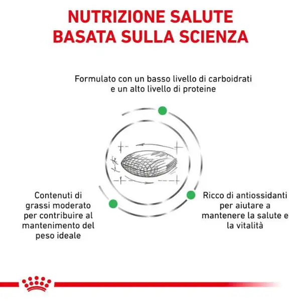 Royal Canin Veterinary Diet Diabetic Cat   bauzaarit.myshopify.com