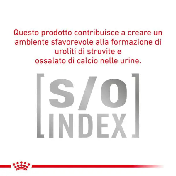 Royal Canin Veterinary Diet Diabetic Cat   bauzaarit.myshopify.com