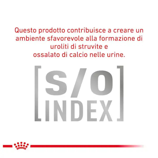 Royal Canin Veterinary Diet Diabetic Special Low Carbohydrate   bauzaarit.myshopify.com