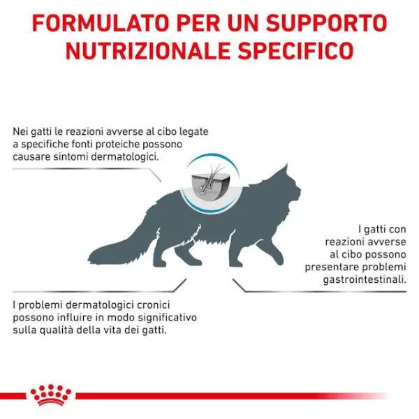 Royal Canin Veterinary Diet Feline Anallergenic   bauzaarit.myshopify.com