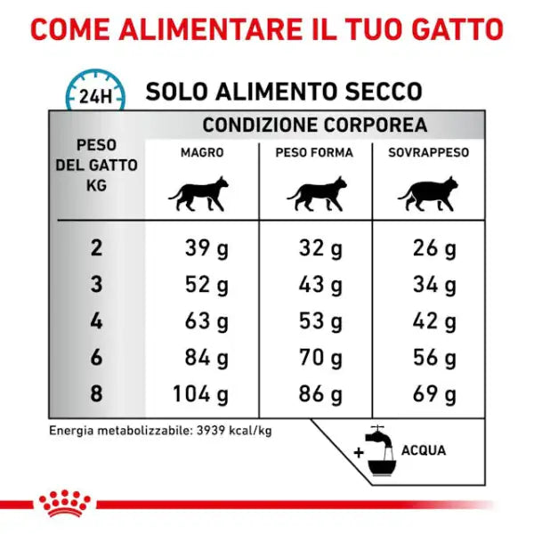 Royal Canin Veterinary Diet Feline Anallergenic   bauzaarit.myshopify.com
