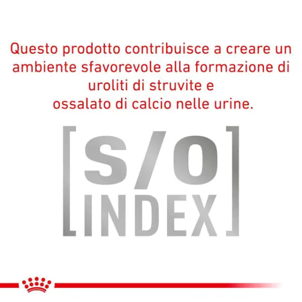 Royal Canin Veterinary Diet Feline Anallergenic   bauzaarit.myshopify.com
