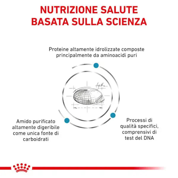Royal Canin Veterinary Diet Feline Anallergenic   bauzaarit.myshopify.com