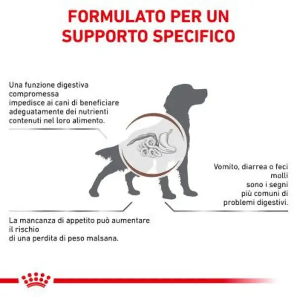 Royal Canin Veterinary Diet Gastrointestinal Canine   bauzaarit.myshopify.com