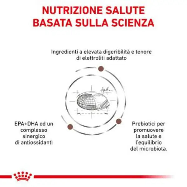 Royal Canin Veterinary Diet Gastrointestinal Canine   bauzaarit.myshopify.com