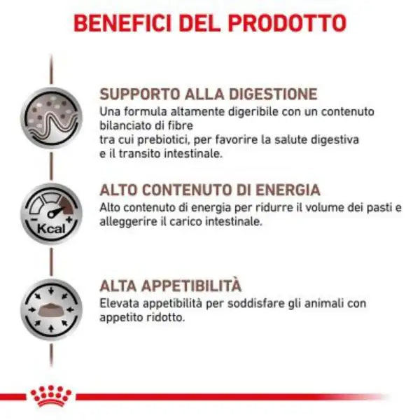 Royal Canin Veterinary Diet Gastrointestinal Canine   bauzaarit.myshopify.com