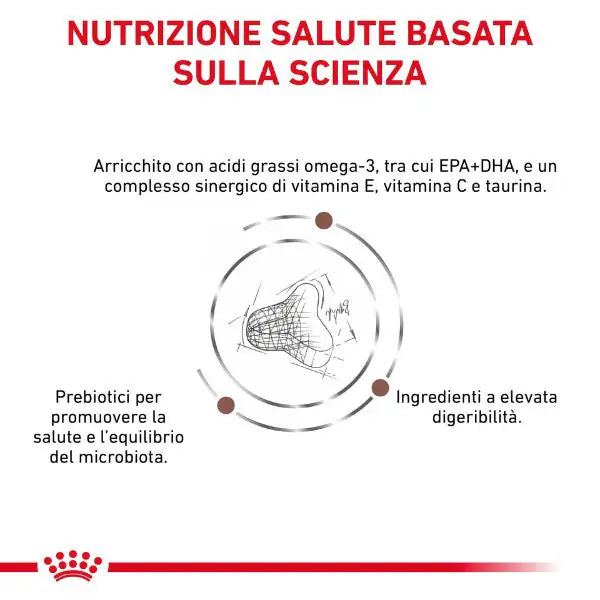 Royal Canin Veterinary Diet Gastrointestinal Fibre Response   bauzaarit.myshopify.com