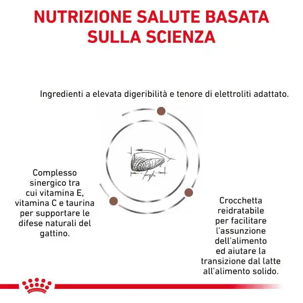 Royal Canin Veterinary Diet Gastrointestinal Kitten Feline   bauzaarit.myshopify.com