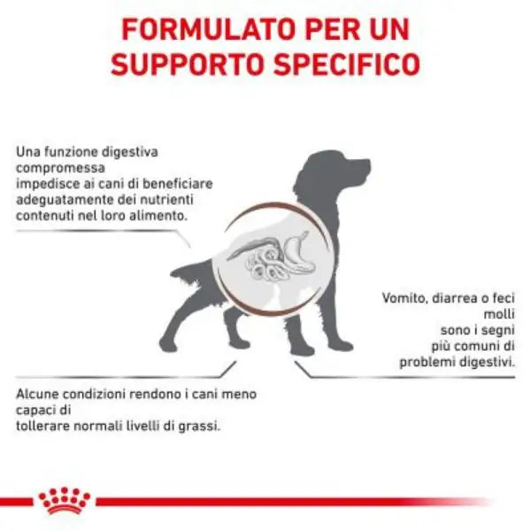 Royal Canin Veterinary Diet Gastrointestinal Low Fat Canine   bauzaarit.myshopify.com
