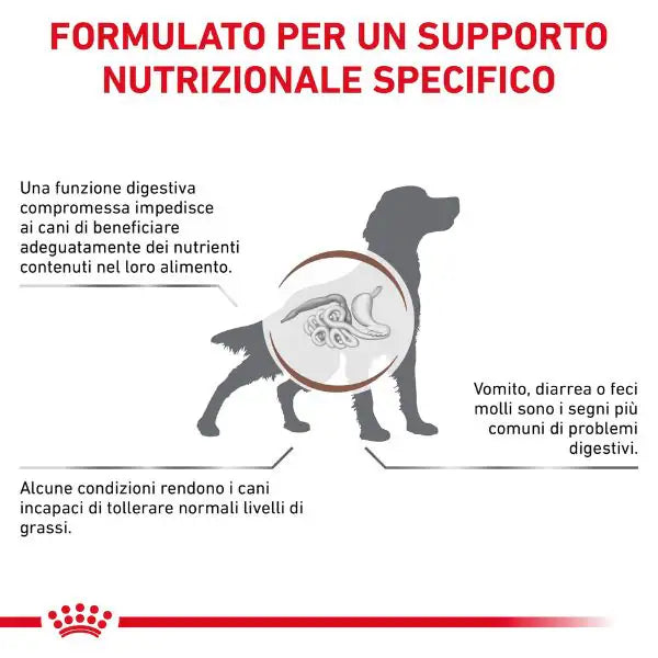 Royal Canin Veterinary Diet Gastrointestinal Low Fat Patè Canine   bauzaarit.myshopify.com