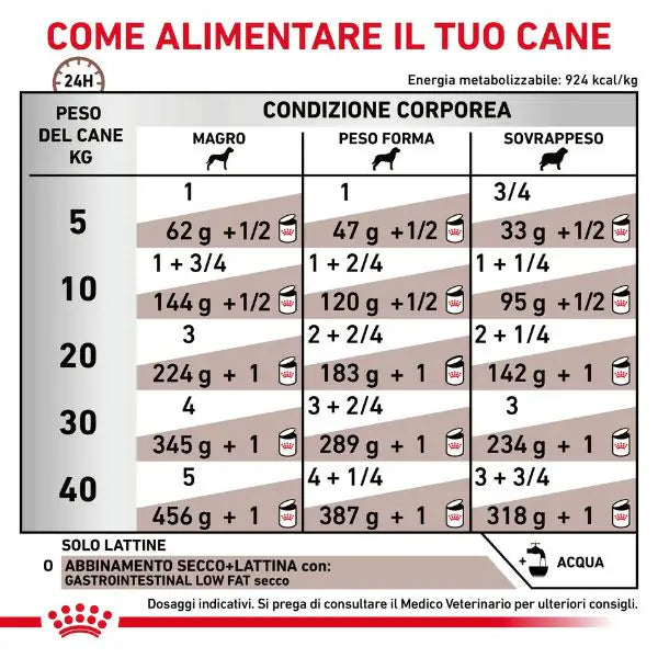 Royal Canin Veterinary Diet Gastrointestinal Low Fat Patè Canine   bauzaarit.myshopify.com