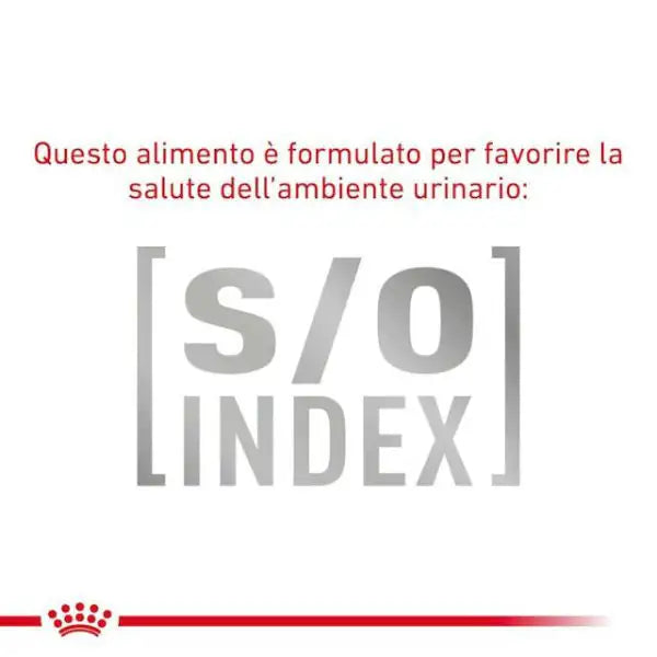 Royal Canin Veterinary Diet Gastrointestinal Low Fat Small Breed   bauzaarit.myshopify.com