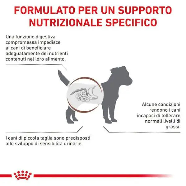 Royal Canin Veterinary Diet Gastrointestinal Low Fat Small Breed   bauzaarit.myshopify.com