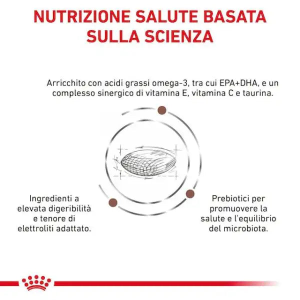 Royal Canin Veterinary Diet Gastrointestinal Low Fat Small Breed   bauzaarit.myshopify.com
