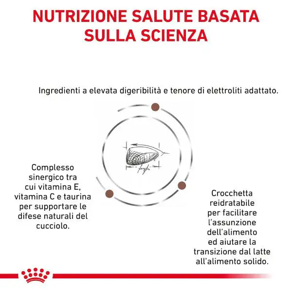 Royal Canin Veterinary Diet Gastrointestinal Puppy Canine   bauzaarit.myshopify.com