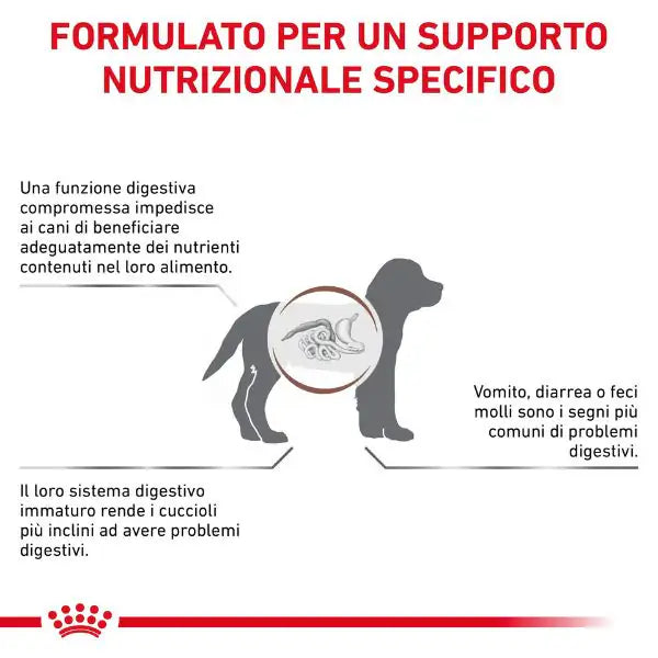 Royal Canin Veterinary Diet Gastrointestinal Puppy Canine   bauzaarit.myshopify.com