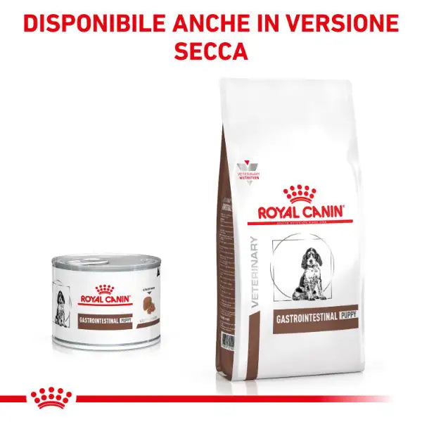 Royal Canin Veterinary Diet Gastrointestinal Puppy mousse ultra soft 195 gr   bauzaarit.myshopify.com
