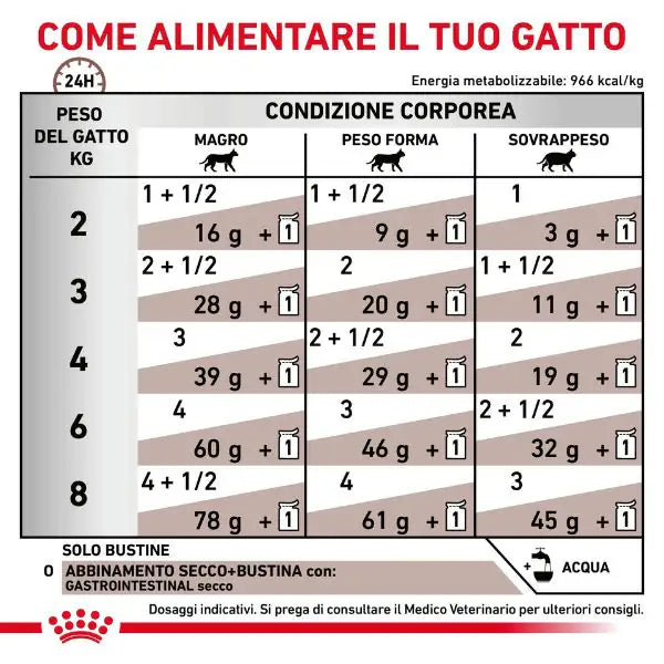 Royal Canin Veterinary Diet Gastrointestinal Umido Feline fettine in salsa Multipack 12x85 gr   bauzaarit.myshopify.com